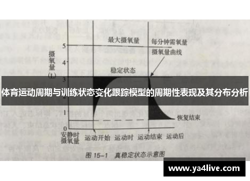 体育运动周期与训练状态变化跟踪模型的周期性表现及其分布分析